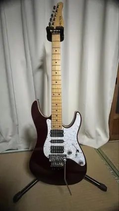 2026年最新】schecter sd-2-24の人気アイテム - メルカリ