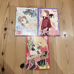 海咲ハナ、池山田剛、紗羅まひろ、わたなべ志穂、麻見雅　雑誌　付録