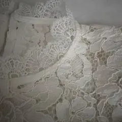 総レース 半袖ブラウス ホワイト