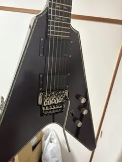 SCHECTER AD-V-1-FR-HR HELLRAISERのサムネイル