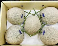 冷蔵便お届け】夕張メロン個選品4玉8kg 1玉2kg前後※掲載は関東価格
