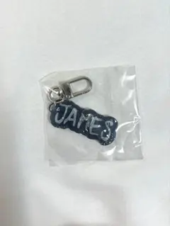 PYPD カプセルトイ アクリルキーリング ジェームズ