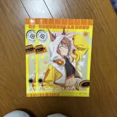 DiDicta Striker 2枚セット