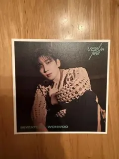 SEVENTEEN ウォヌ チェキ - メルカリ