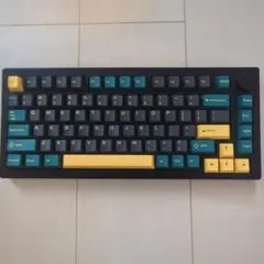 ArbiterStudioPolar65 Nacho Customz キーボード - メルカリ