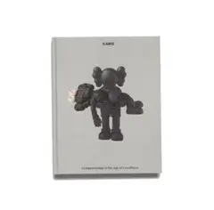 美品 希少 KAWS YSP ヨークシャー彫刻公園 カウズ 写真集 本 - メルカリ