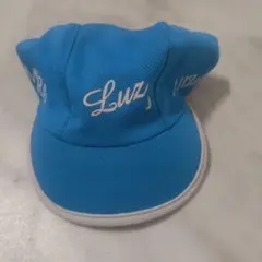 Item thumbnail for item b15d9655-e7e6-446d-9dac-65216d90ea86