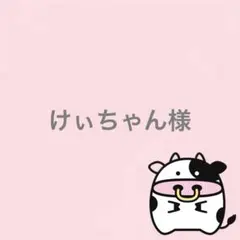 けぃちゃん様 リクエスト 2点 まとめ商品