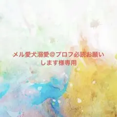 メル愛犬溺愛＠プロフ必読お願いします様確認専用ページ【取り置き中　3月末まで】