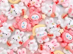 ♡まとめ買い割引中♡【ＤＰ-１３３】残り４セット‼︎ うさぎさん　可愛い