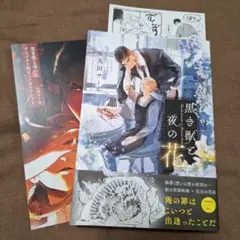 黒き獣と夜の花