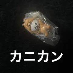 ♋️ リノ　リービット　Straykids スキズ　SKZOO