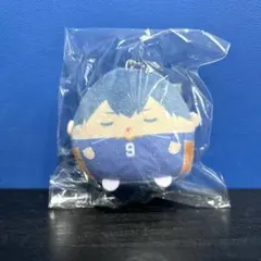 影山飛雄 ハイキュー くじメイト ぬいくじ E賞 てのりんず