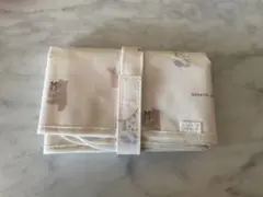 Item thumbnail for item 03d7e92c-d121-43ec-b763-f5bc73e2b0d2