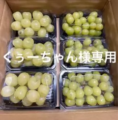 シャインマスカット 雄宝 訳あり 6パック