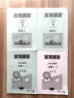 2026年最新】浜学園 小6の人気アイテム - メルカリ