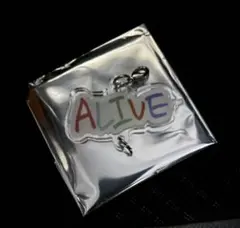 SUPER JUNIOR ドンヘ ソロコン ALIVE ランダムチャーム - メルカリ