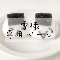 雪様　専用ページ