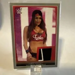 女子プロレス マリーゴールド カード ゼイダスティール トレカ WWE NXT
