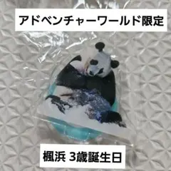 2026年最新】楓浜 キーホルダーの人気アイテム - メルカリ