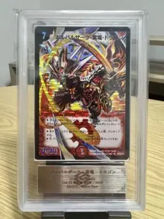 ボルバルザーク・紫電・ドラゴン ARS9