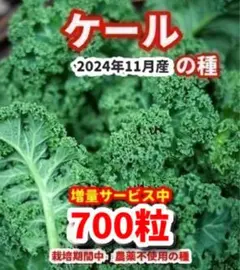chamoccoya様 リクエスト 4点 まとめ商品