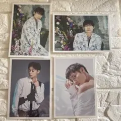 超特急 アロハ 生写真 4枚 (Rail is Beautiful A 生誕)