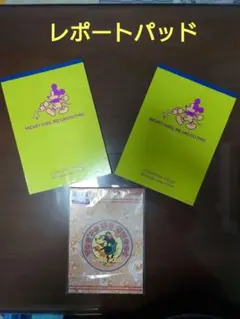 ⚪︎ディズニー　　ミッキー２冊　ミニー１冊　レポートパッド