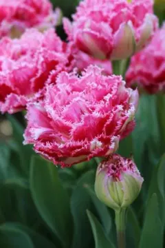 ペンタ様 リクエスト 2点 まとめ商品