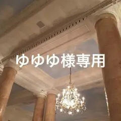 専用 SEVENTEEN 顔うちわ文字 ネームボード トレカ ディノ ミョンホ