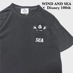 WIND AND SEA × Disney 100周年 フェード Tシャツ Mのサムネイル