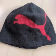 Item thumbnail for item 70a2d1f6-3b4d-4f52-ab8f-47b65dc92aef