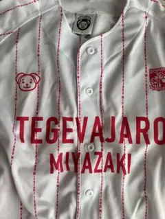 テゲバジャーロ宮崎応援グッズ ベースボールシャツとタオルマフラーのセット