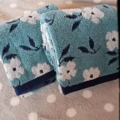 Item thumbnail for item 24436c34-3578-4475-8ff1-504134459a3e