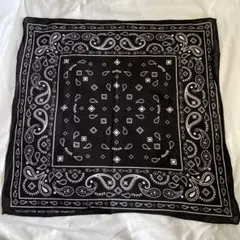 極美品 マニプリ manipuri ウールシルク ストール カレイドバンダナ