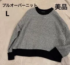 HONEYSUCKLE ROSE 地柄プルオーバーニットL