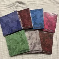 ENHYPEN THE SIN : VANISH 未開封