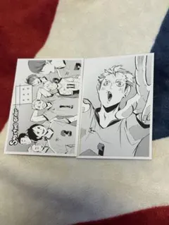 ハイキュー!!10thクロニクル 思い出スナップ風フォトカード 照島遊児