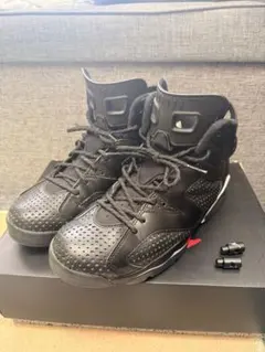 Nike Air Jordan 6 Retro "Black Cat"のサムネイル