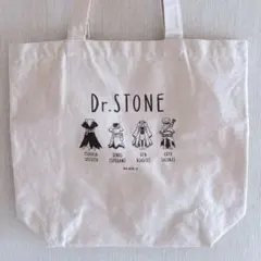 Dr.STONE journey of growth 千空 巾着バッグ - メルカリ