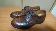 【美品】Danner Manawa ダナー マナワ D1856 us8 26cmのサムネイル