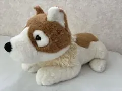 柴犬 | 可通過Doorzo在日本Mercari（メルカリ）上進行一站式代購，費用