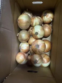訳あり南あわじ産玉ねぎ大玉10Jのサムネイル