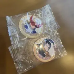 僕のヒーローアカデミア　ピンバッジ 2個セット