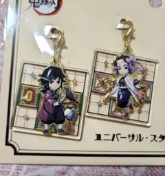 鬼滅の刃　冨岡義勇　USJ　ユニバ　ネックレス＆イヤーカフセット 鬼滅の刃【⭐️2021年ユニバ限定】ネックレス＆イヤーカフセット 冨岡