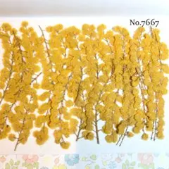 ユーシー様 リクエスト 3点 まとめ商品