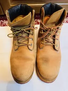 Item thumbnail for item 4de4e575-da72-49ae-a868-f9abc202435c