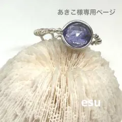 あきこさま専用ページ14kgf