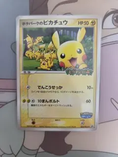 ポケパークのピカチュウ PROMO PCG-Pプロモカード 043/PCG-P