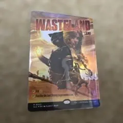 MTG 不毛の大地 ボーダーレス 2枚セット - メルカリ